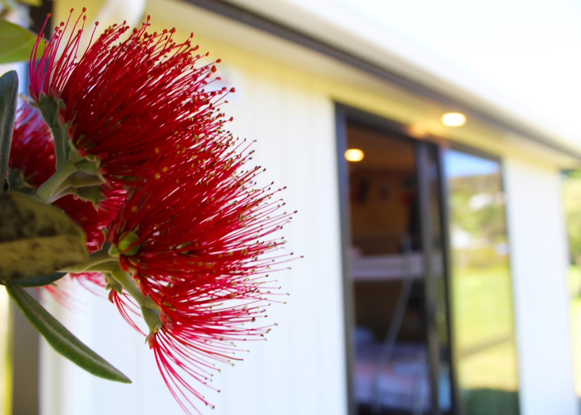 Waitangi Holiday Park Paihia Exterior photo