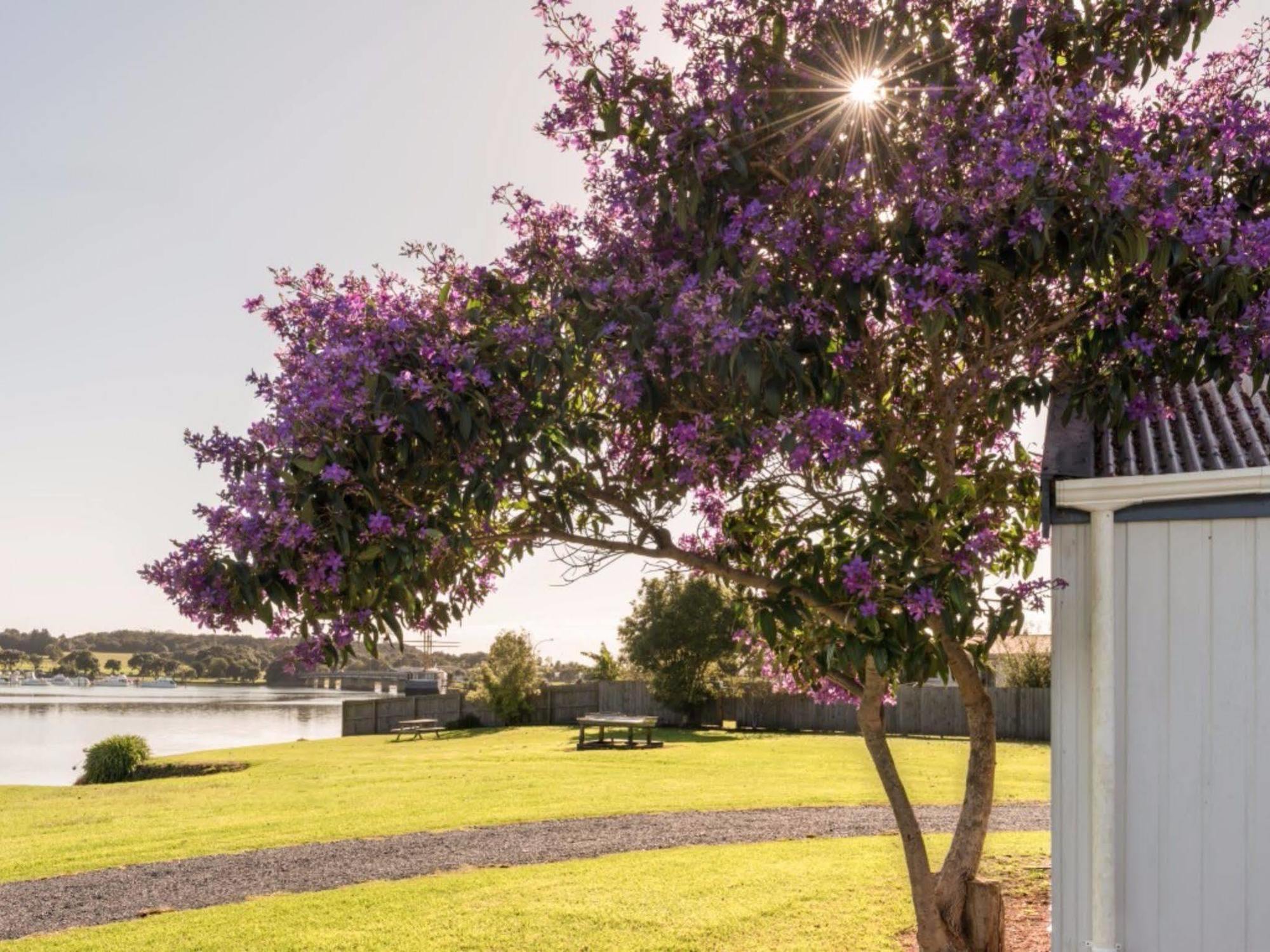 Waitangi Holiday Park Paihia Exterior photo
